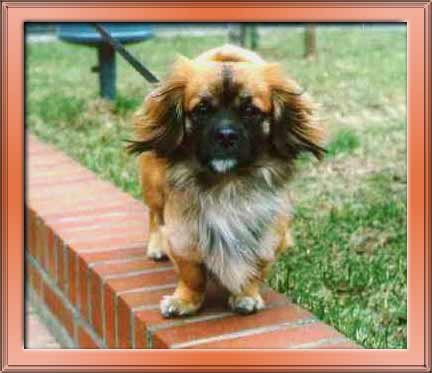 Joschi IX / Thanks to Sara for the frame!